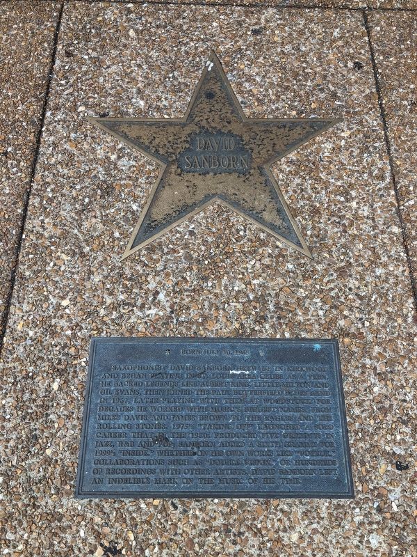David Sanborn Marker. Click for full size. David Sanborn Marker image. Click for full size.