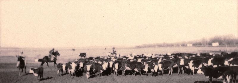 Marker detail: Stockyard photo. Click for full size. Marker detail: Stockyard photo image. Click for full size.