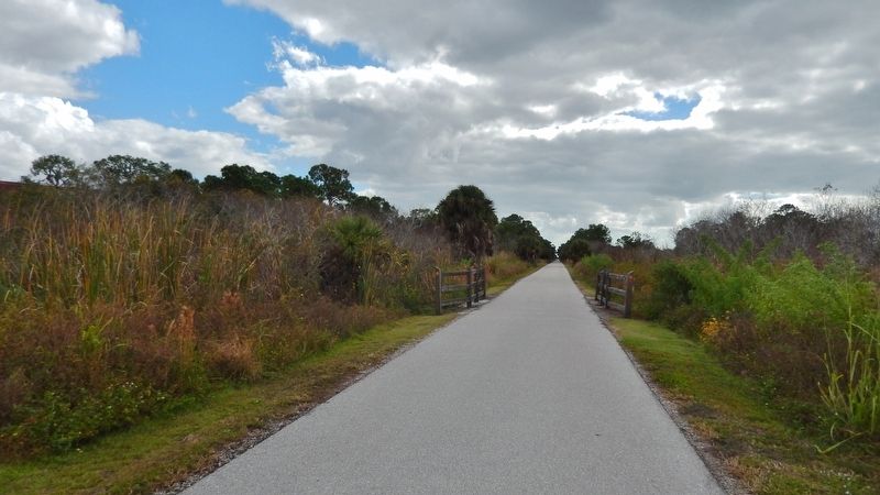 Sarasota-to-Venice Legacy Rail Trail (<i>former rail line; view south from marker</i>). Click for full size. Sarasota-to-Venice Legacy Rail Trail (<i>former rail line; view south from marker</i>) image. Click for full size.