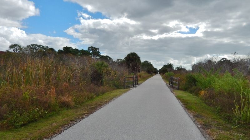 Sarasota-to-Venice Legacy Rail Trail (<i>former rail line; view south from marker</i>) image. Click for full size.