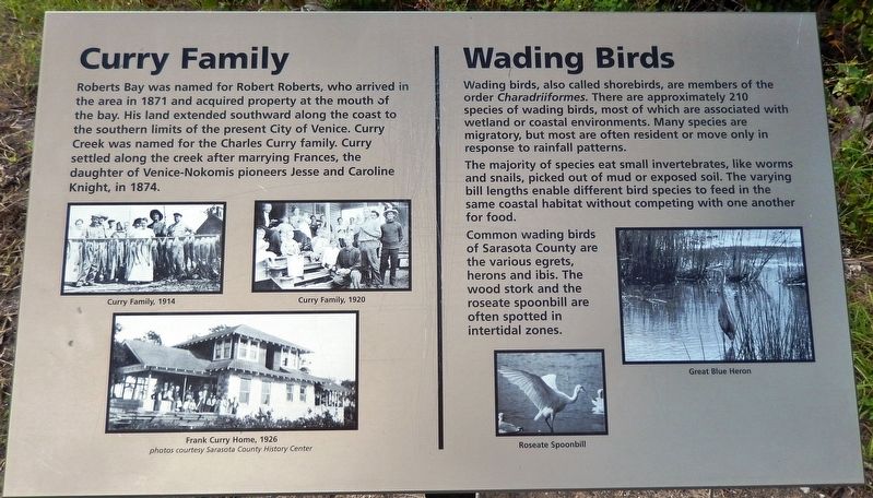 Curry Family / Wading Birds Marker image. Click for full size.