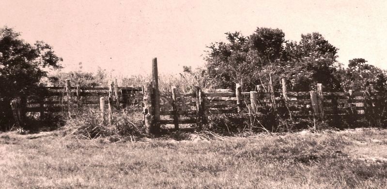 Marker detail: Palmer Ranch. Click for full size. Marker detail: Palmer Ranch image. Click for full size.