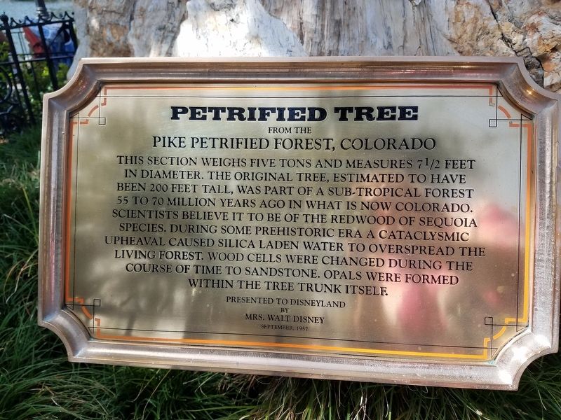 Petrified Tree Marker image. Click for full size.