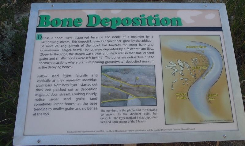 Bone Deposition Marker. Click for full size. Bone Deposition Marker image. Click for full size.