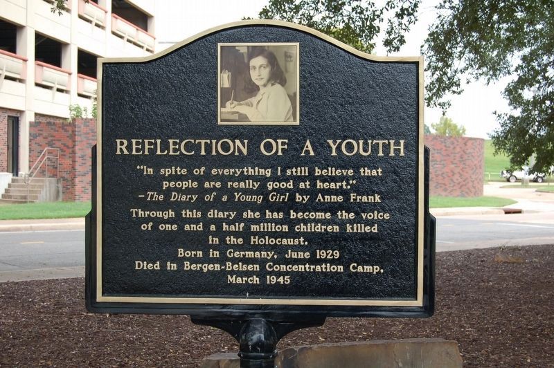 Reflection of a Youth Marker image. Click for full size.