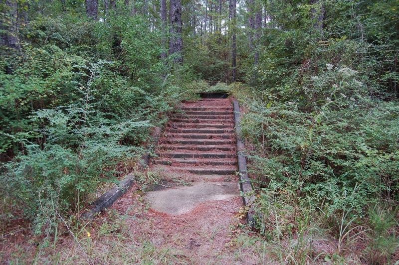 Old staircase ruins at Camp Claiborne site. Click for full size. Old staircase ruins at Camp Claiborne site image. Click for full size.
