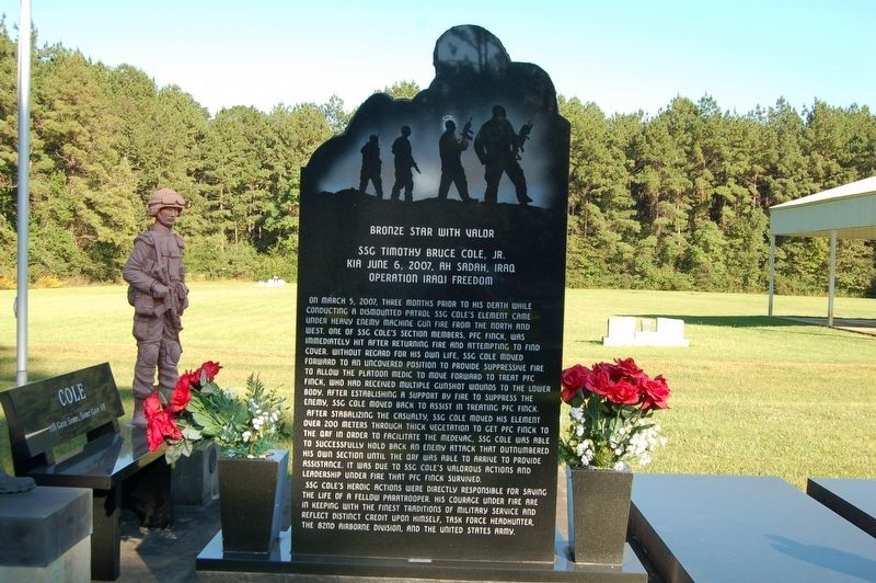 Bronze Star with Valor - SSG Timothy Bruce Cole, Jr. Marker image. Click for full size.