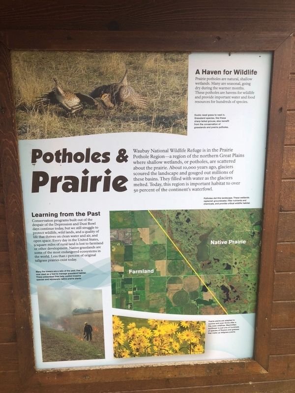 Potholes and Prairie Marker. Click for full size. Potholes and Prairie Marker image. Click for full size.
