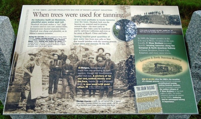 When trees were used for tanning Marker image. Click for full size.