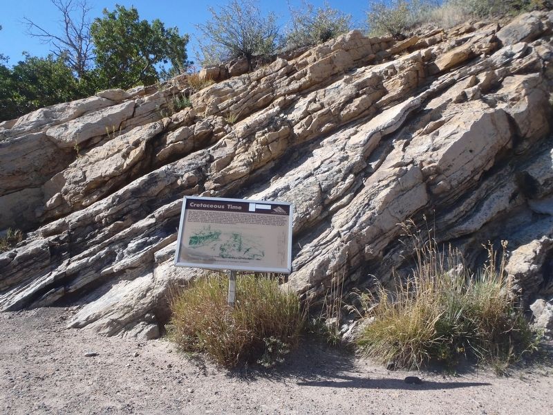 The 100 million year old sandstone of Dinosaur Ridge.. Click for full size. The 100 million year old sandstone of Dinosaur Ridge. image. Click for full size.