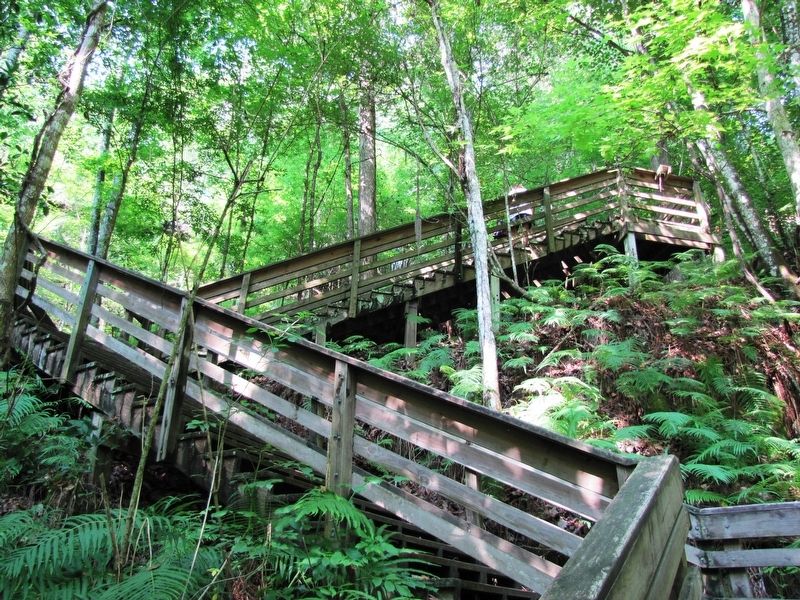 Devil's Millhopper (<i>boardwalk staircase leading up from the sink hole</i>). Click for full size. Devil's Millhopper (<i>boardwalk staircase leading up from the sink hole</i>) image. Click for full size.