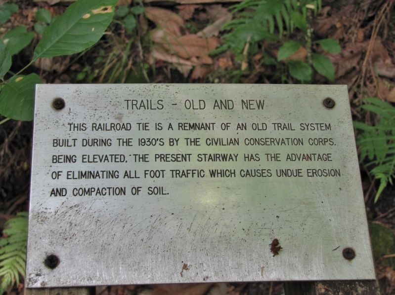 Devil's Millhopper CCC Trail Marker (<i>located in "millhopper," at base of boardwalk staircase</i>) image. Click for full size.