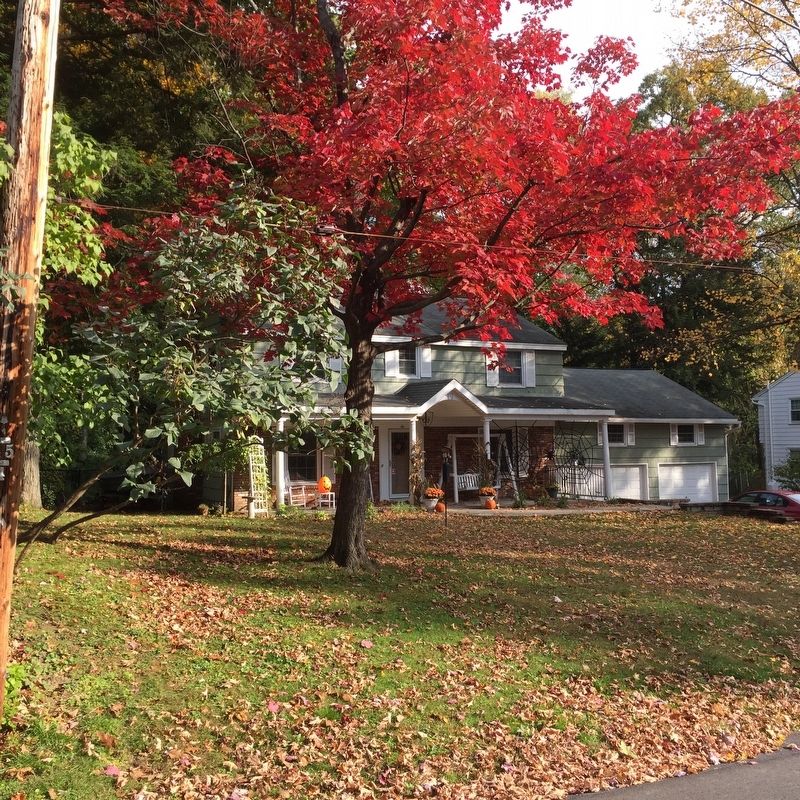 Typical Style of House in the Development. Click for full size. Typical Style of House in the Development image. Click for full size.