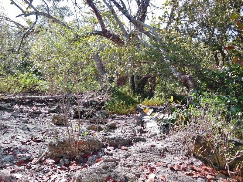 Tabby House Ruins (<i>located beside marker</i>). Click for full size. Tabby House Ruins (<i>located beside marker</i>) image. Click for full size.