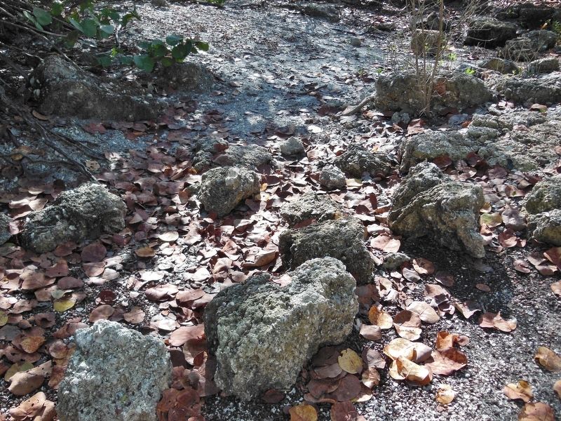 Tabby House Ruins (<i>located beside marker</i>). Click for full size. Tabby House Ruins (<i>located beside marker</i>) image. Click for full size.