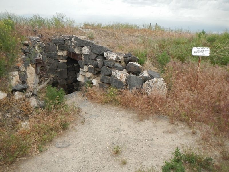 Dry Cellar. Click for full size. Dry Cellar image. Click for full size.