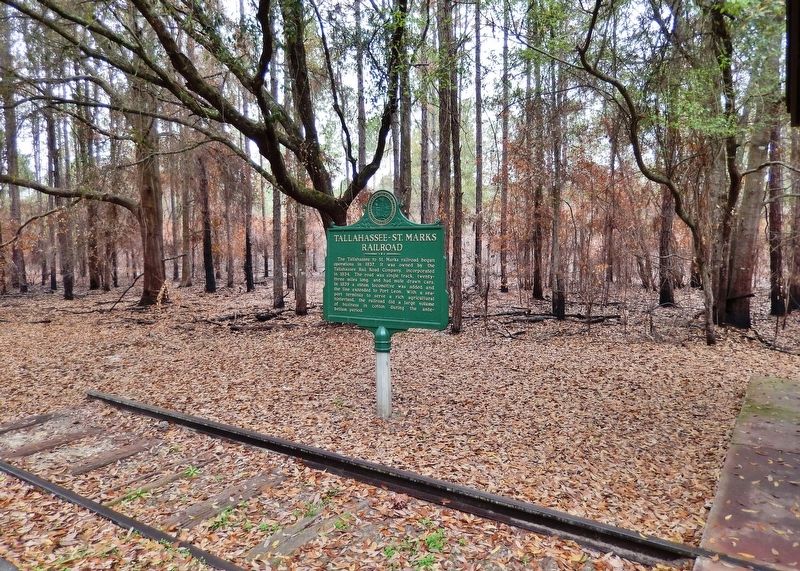 Tallahassee - St. Marks Railroad Marker (<i>wide view; old railroad track in foreground</i>) image. Click for full size.