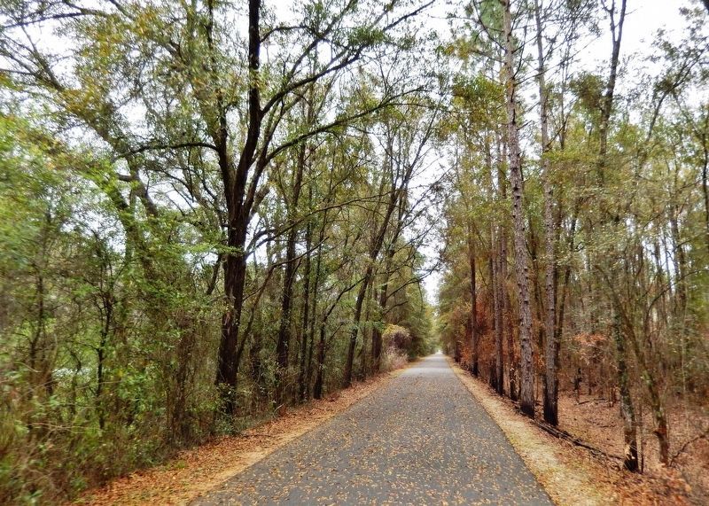 Tallahassee - St. Marks Railroad Trail (<i>south of marker; former railroad bed</i>) image. Click for full size.