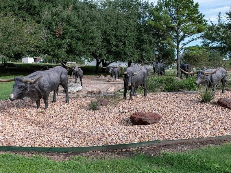 Texas Longhorn Cattle next to the Trail Drivers Marker image. Click for full size.
