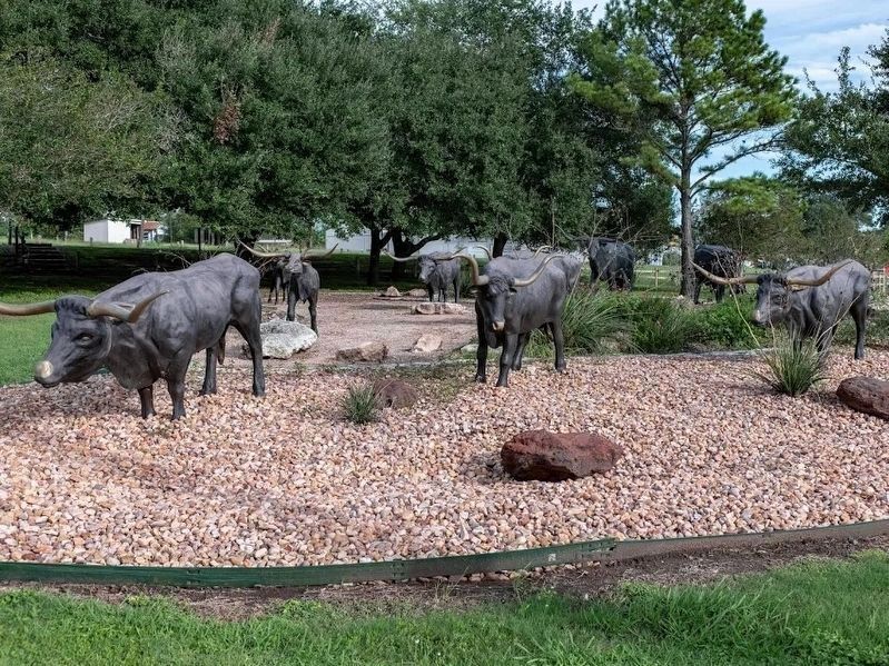 Texas Longhorn Cattle near the Marker. Click for full size. Texas Longhorn Cattle near the Marker image. Click for full size.