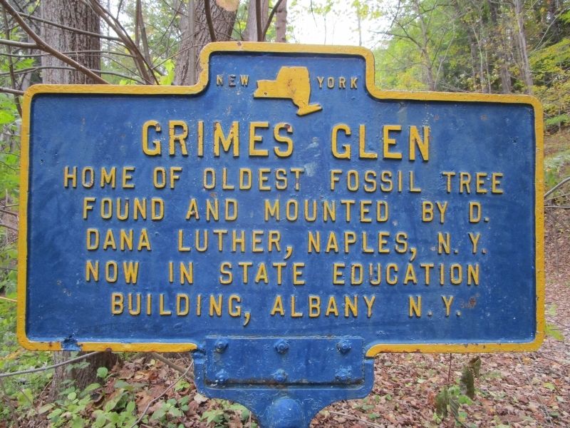 Grimes Glen Marker. Click for full size. Grimes Glen Marker image. Click for full size.