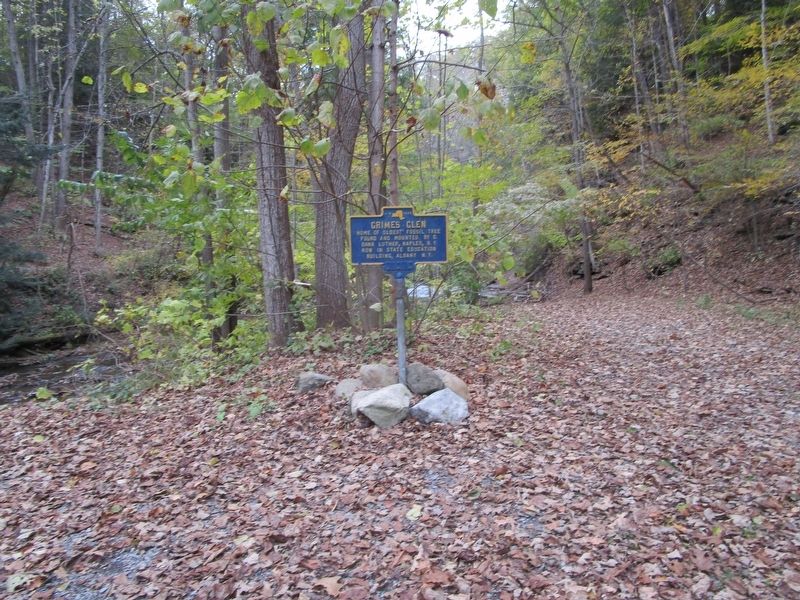 Grimes Glen Marker. Click for full size. Grimes Glen Marker image. Click for full size.