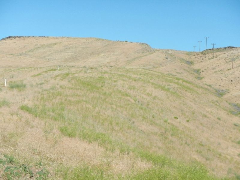 Old Oregon Trail image. Click for full size.
