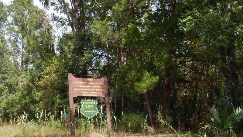 Richloam Forestry Station Sign (<i>turn west from here to access marker</i>). Click for full size. Richloam Forestry Station Sign (<i>turn west from here to access marker</i>) image. Click for full size.