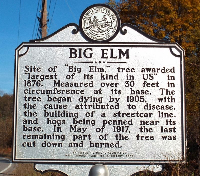 Big Elm Marker image. Click for full size.