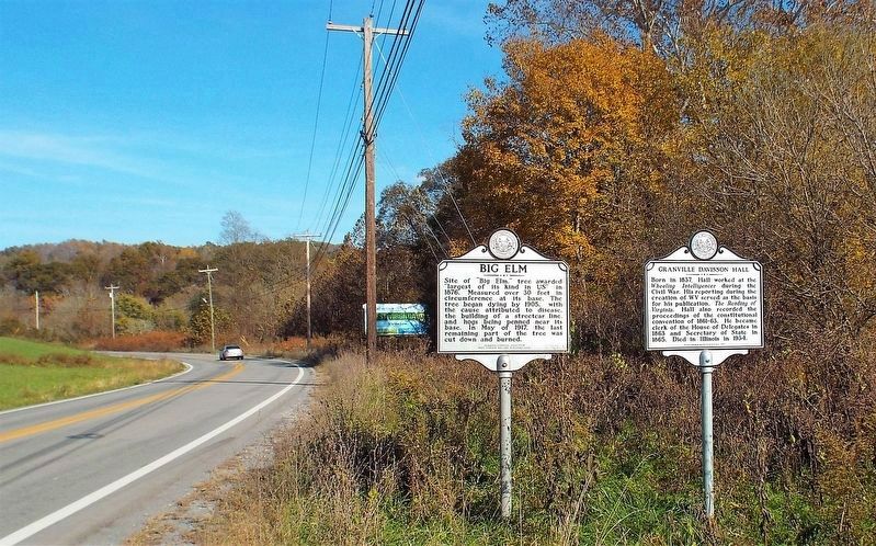 Big Elm Marker next to Granville Davison Hall Marker image. Click for full size.