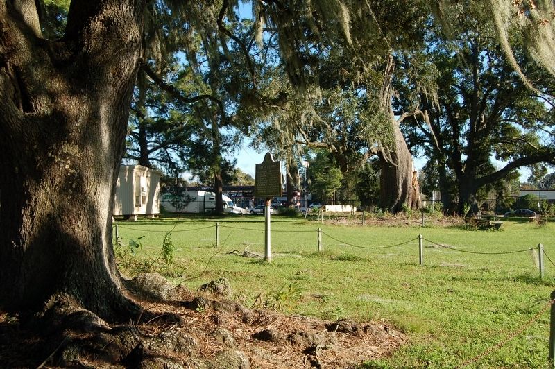 Oaks of Ile Copal Marker. Click for full size. Oaks of Ile Copal Marker image. Click for full size.
