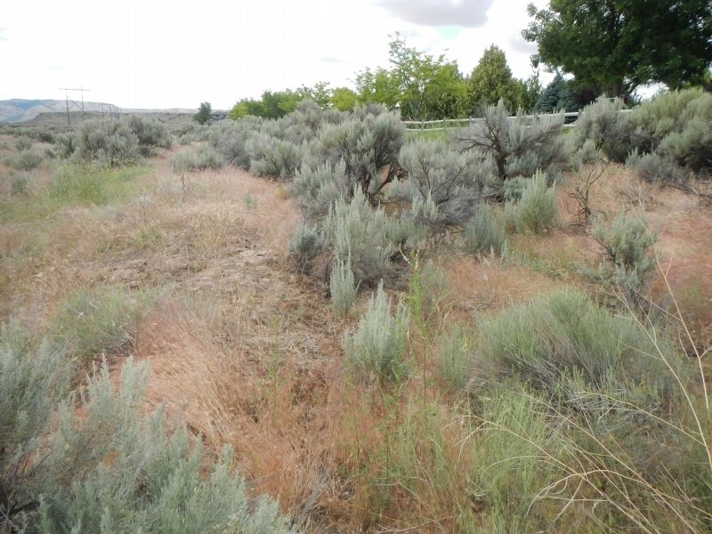 These are the actual wagon ruts of the Oregon Trail image. Click for full size.