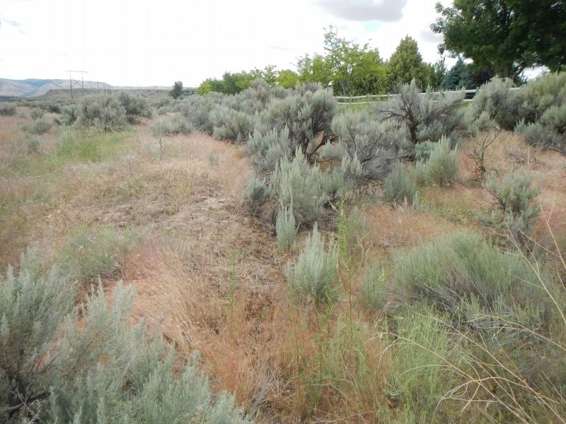 Old Oregon Trail. Click for full size. Old Oregon Trail image. Click for full size.