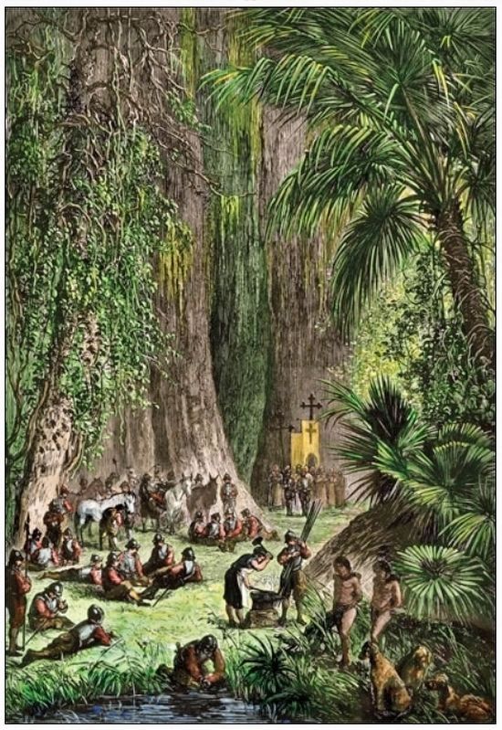 Marker detail: De Soto�s expedition settled in a bivouac of virgin woods image. Click for full size.