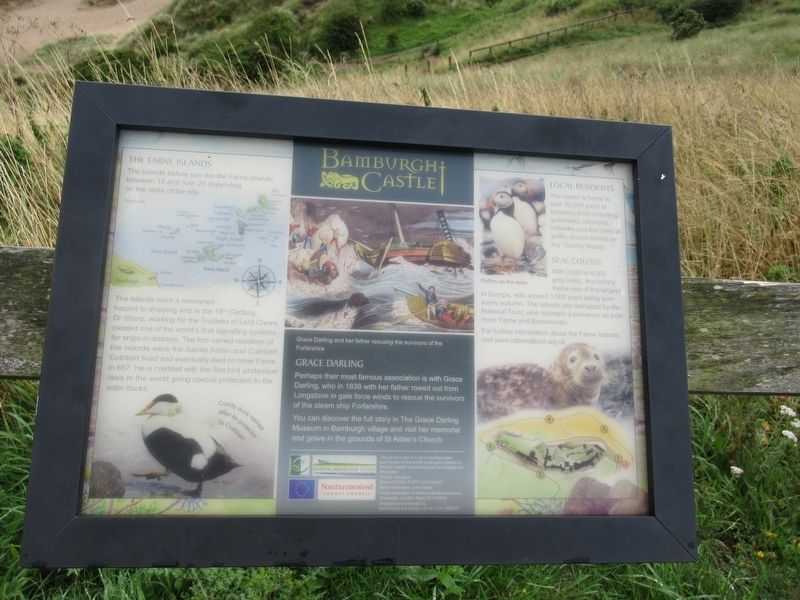 The Farne Islands Marker image. Click for full size.