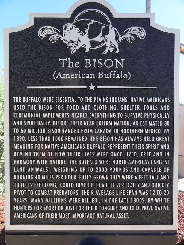 The Bison (American Buffalo) Marker image. Click for full size.