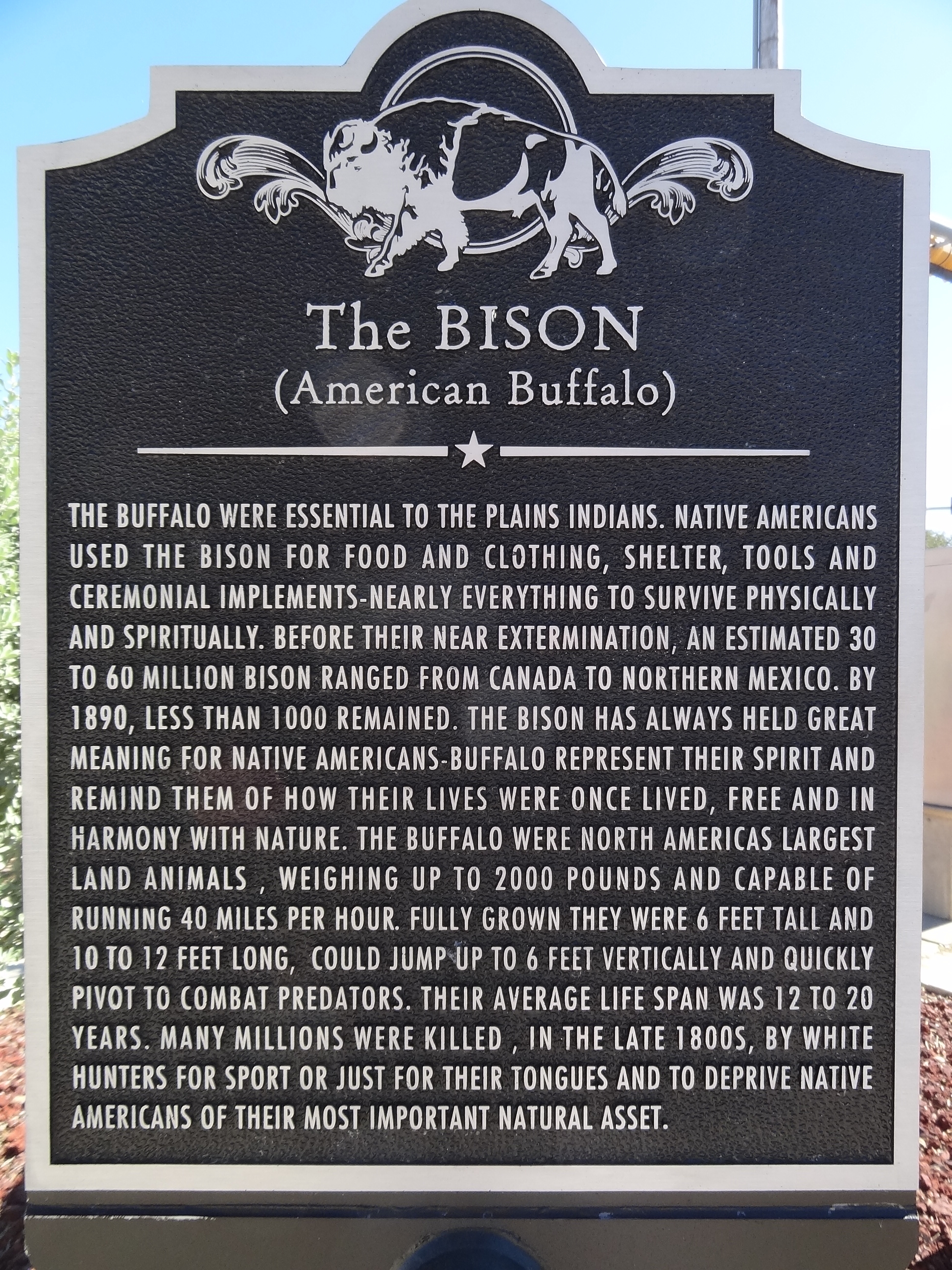 The Bison (American Buffalo) Marker