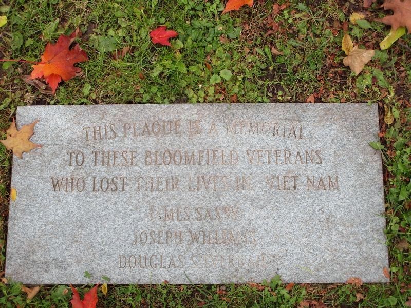 Viet Nam Plaque. Click for full size. Viet Nam Plaque image. Click for full size.