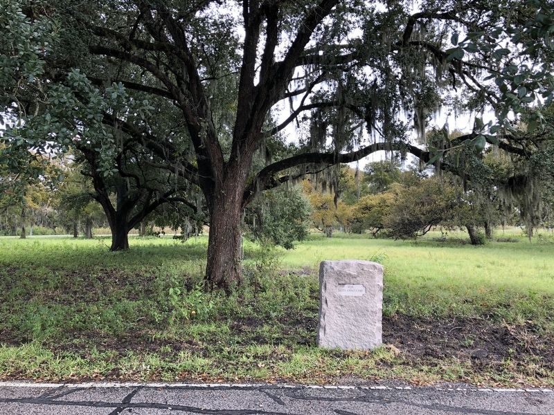 Santa Anna's Camp Marker. Click for full size. Santa Anna's Camp Marker image. Click for full size.