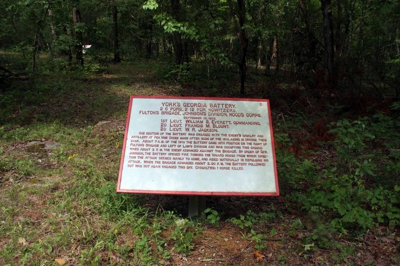 York's Georgia Battery Marker image. Click for full size.