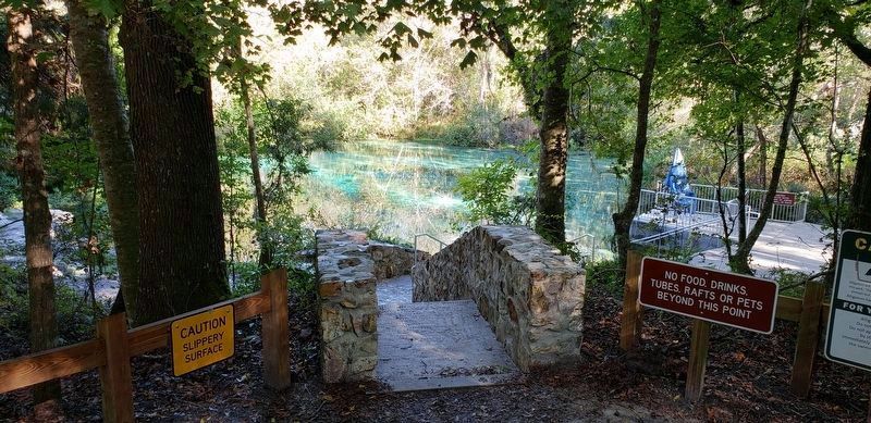 Ichetucknee Springs (<i>wide view from near marker</i>) image. Click for full size.