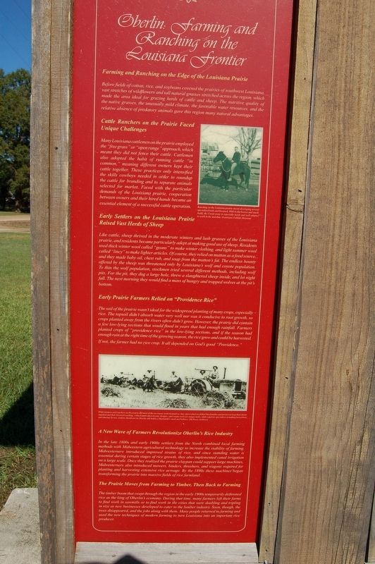 Oberlin: A Blending of Cultures Marker. Click for full size. Oberlin: A Blending of Cultures Marker image. Click for full size.
