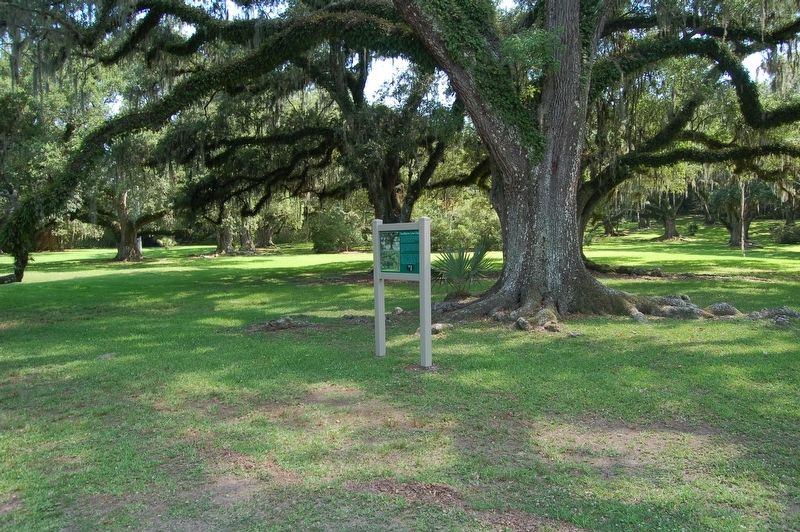 Southern Live Oaks Marker image. Click for full size.