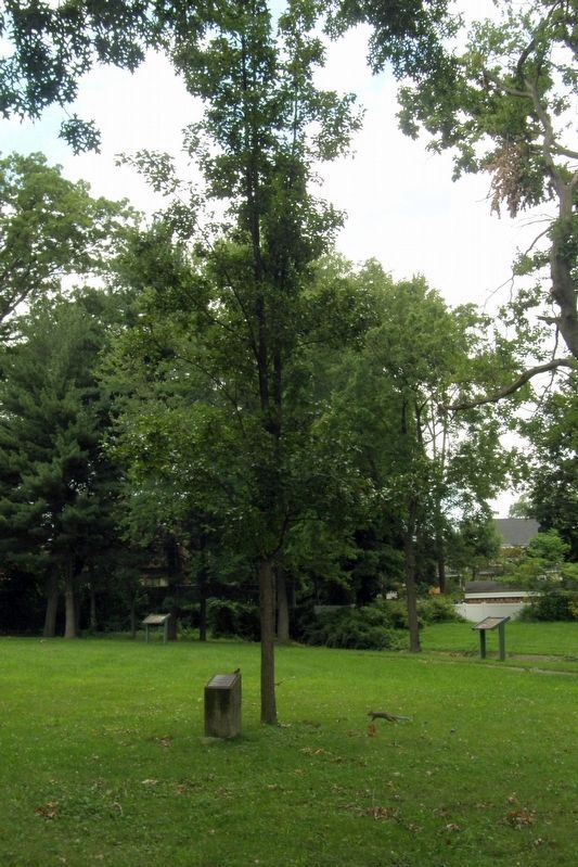 Nearby Memorial Tree image. Click for full size.