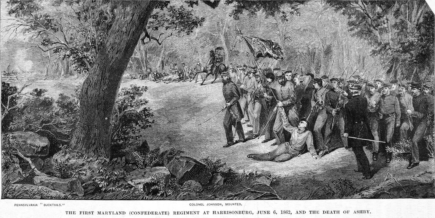 First Maryland (Confederate) Regiment at Harrisonburg, June 6, 1862 and the Death of Ashby image. Click for full size.