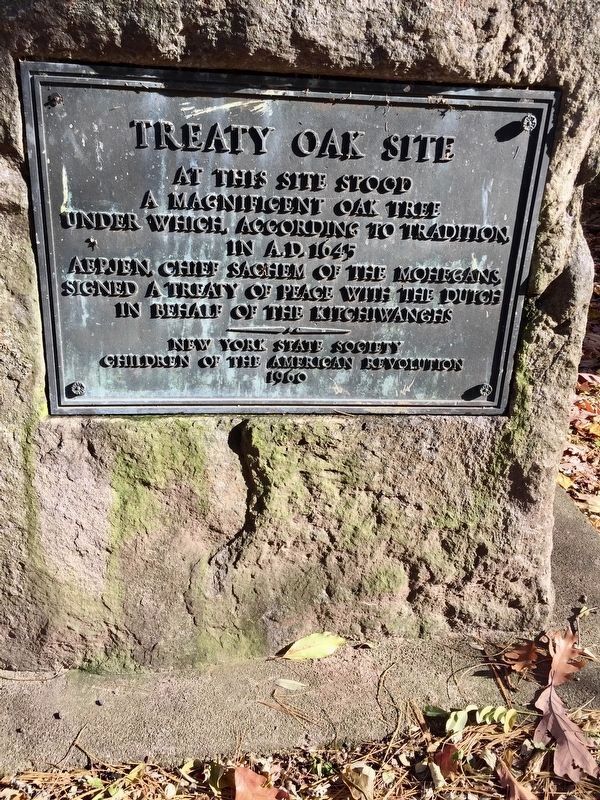 Treaty Oak Site Marker image. Click for full size.
