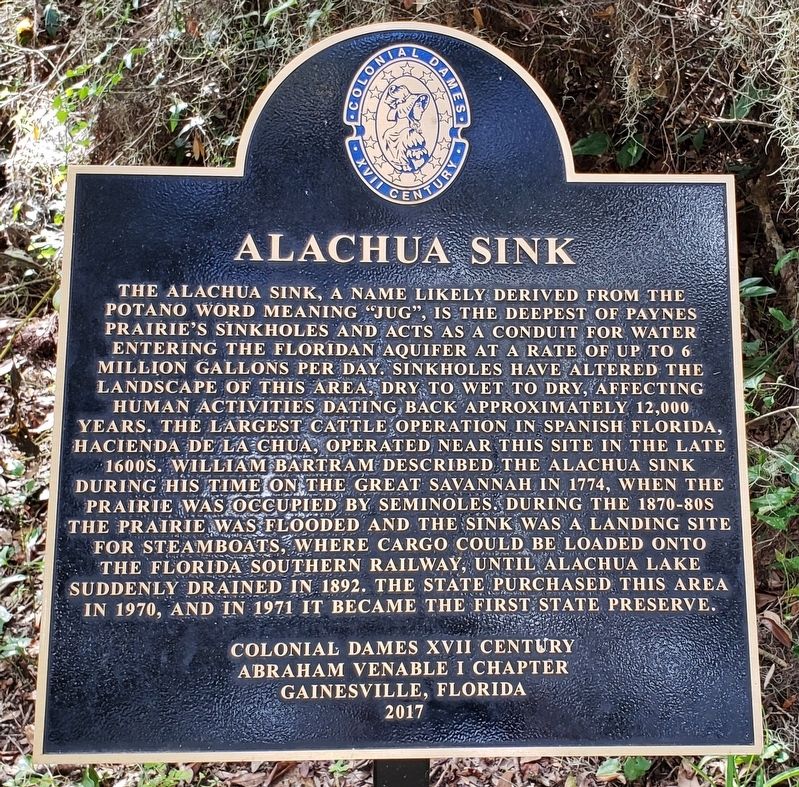 Alachua Sink Marker image. Click for full size.