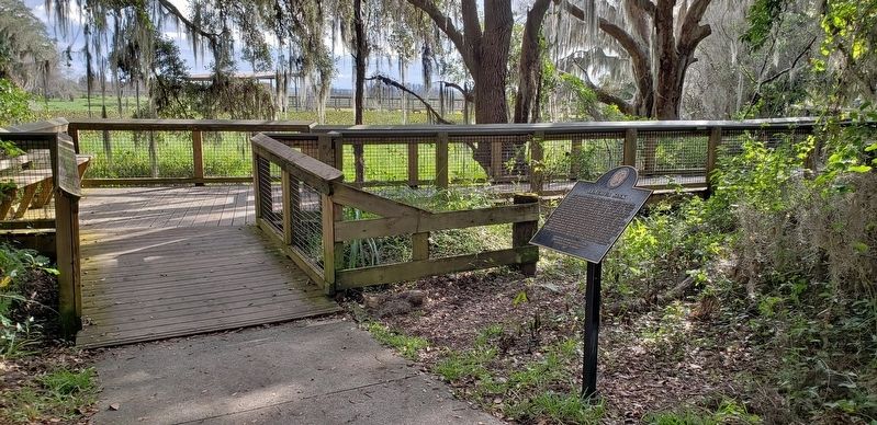 Alachua Sink Marker (<i>wide view; La Chua Trail boardwalk in background; marker on right</i>) image. Click for full size.