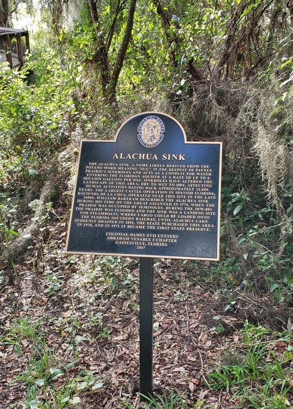 Alachua Sink Marker (<i>tall view</i>) image. Click for full size.