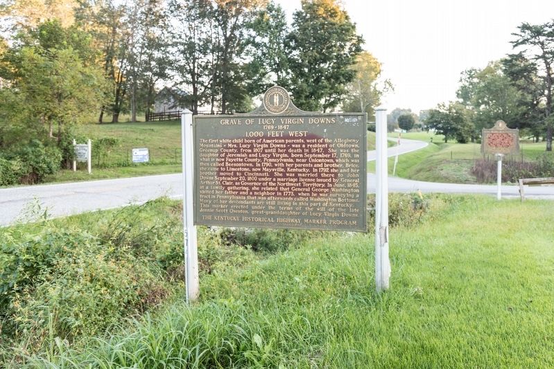 Grave of Lucy Virgin Downs and Laurel Furnace Markers image. Click for full size.